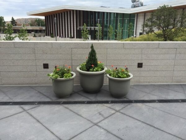 Contemporary - Image 3